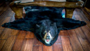 Black Bear rug