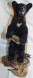 Life Size black bear cub mount