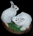 Rabbit mount