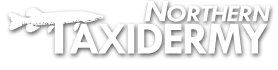 Northern Taxidermy